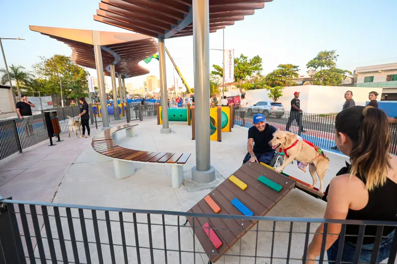  <div class='credito_fotos'>Foto: Bruno Cecim / Ag.Pará &nbsp;&nbsp;|&nbsp;&nbsp; <a href='/midias/2025/originais/20251103195354-GF00025370-F00462499.jpg' download><i class='fa-solid fa-download'></i> Download</a></div>