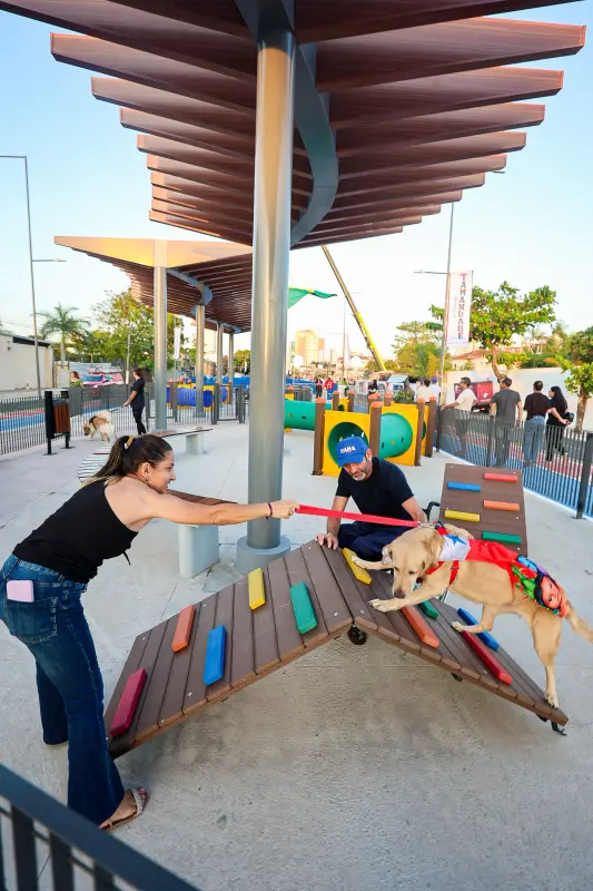  <div class='credito_fotos'>Foto: Bruno Cecim / Ag.Pará &nbsp;&nbsp;|&nbsp;&nbsp; <a href='/midias/2025/originais/20251103195355-GF00025370-F00462500.jpg' download><i class='fa-solid fa-download'></i> Download</a></div>