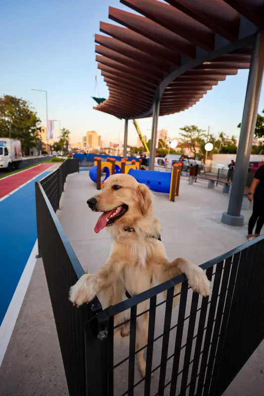  <div class='credito_fotos'>Foto: Bruno Cecim / Ag.Pará &nbsp;&nbsp;|&nbsp;&nbsp; <a href='/midias/2025/originais/20251103195401-GF00025370-F00462503.jpg' download><i class='fa-solid fa-download'></i> Download</a></div>