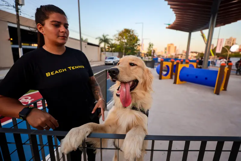  <div class='credito_fotos'>Foto: Bruno Cecim / Ag.Pará &nbsp;&nbsp;|&nbsp;&nbsp; <a href='/midias/2025/originais/20251103195403-GF00025370-F00462504.jpg' download><i class='fa-solid fa-download'></i> Download</a></div>