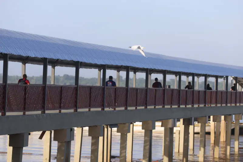  <div class='credito_fotos'>Foto: Bruno Cecim / Ag.Pará &nbsp;&nbsp;|&nbsp;&nbsp; <a href='/midias/2025/originais/20251104085848-GF00025374-F00462703.jpg' download><i class='fa-solid fa-download'></i> Download</a></div>