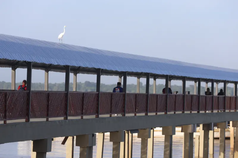  <div class='credito_fotos'>Foto: Bruno Cecim / Ag.Pará &nbsp;&nbsp;|&nbsp;&nbsp; <a href='/midias/2025/originais/20251104085851-GF00025374-F00462705.jpg' download><i class='fa-solid fa-download'></i> Download</a></div>