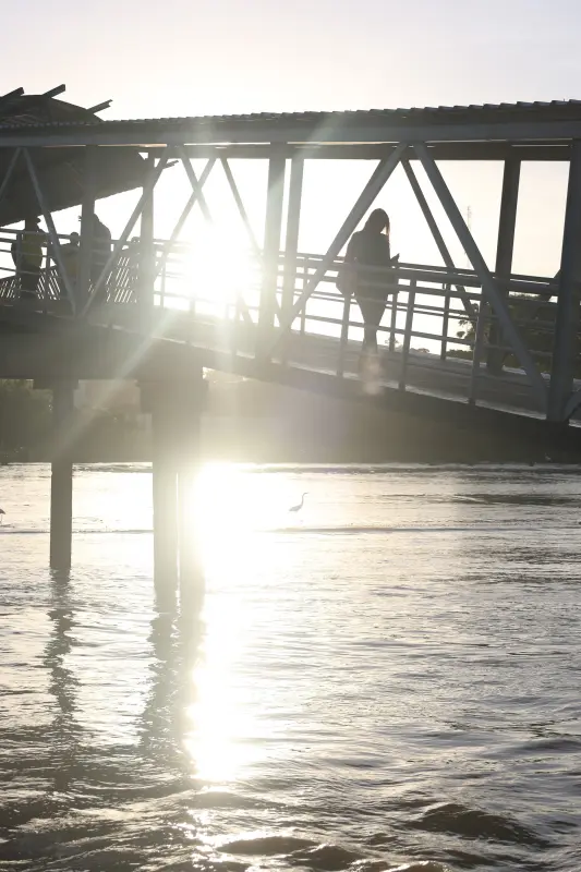  <div class='credito_fotos'>Foto: Bruno Cecim / Ag.Pará &nbsp;&nbsp;|&nbsp;&nbsp; <a href='/midias/2025/originais/20251104090012-GF00025374-F00462752.jpg' download><i class='fa-solid fa-download'></i> Download</a></div>