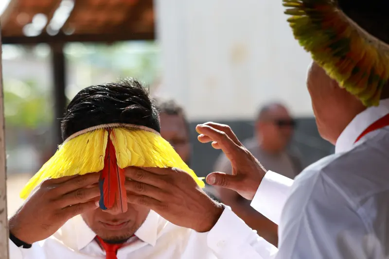  <div class='credito_fotos'>Foto: Marcelo Lelis / Ag. Pará &nbsp;&nbsp;|&nbsp;&nbsp; <a href='/midias/2025/originais/20251104100914-GF00025376-F00462823.jpg' download><i class='fa-solid fa-download'></i> Download</a></div>