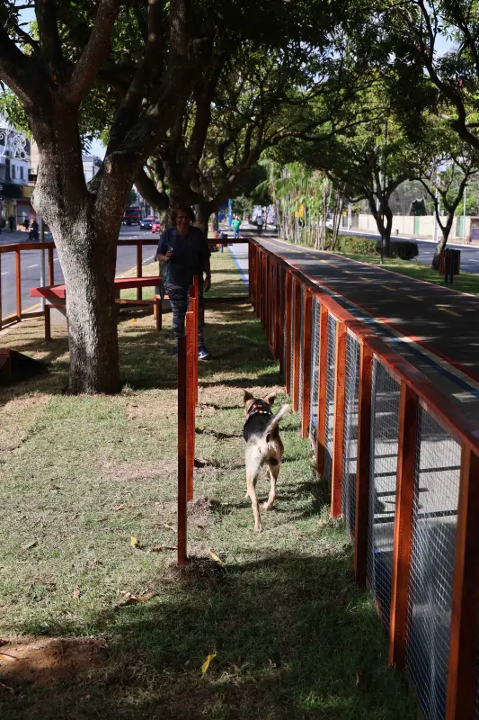  <div class='credito_fotos'>Foto: Marco Santos / Ag. Pará &nbsp;&nbsp;|&nbsp;&nbsp; <a href='/midias/2025/originais/20251104104845-GF00025377-F00462853.jpg' download><i class='fa-solid fa-download'></i> Download</a></div>