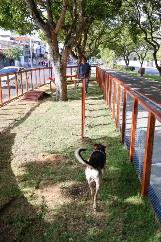  <div class='credito_fotos'>Foto: Marco Santos / Ag. Pará &nbsp;&nbsp;|&nbsp;&nbsp; <a href='/midias/2025/originais/20251104104848-GF00025377-F00462854.jpg' download><i class='fa-solid fa-download'></i> Download</a></div>