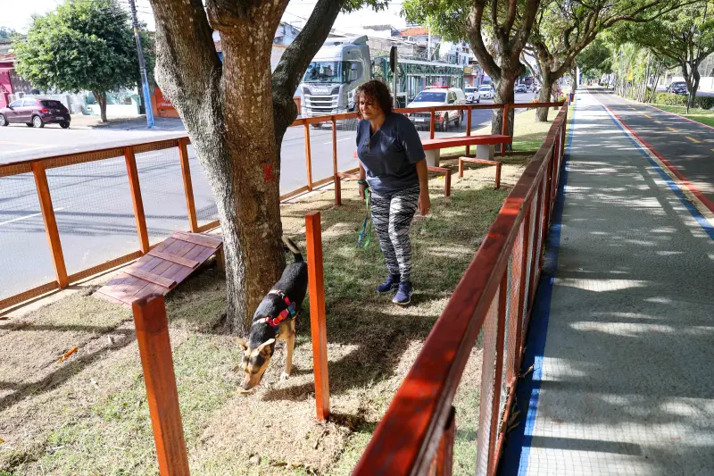  <div class='credito_fotos'>Foto: Marco Santos / Ag. Pará &nbsp;&nbsp;|&nbsp;&nbsp; <a href='/midias/2025/originais/20251104104854-GF00025377-F00462856.jpg' download><i class='fa-solid fa-download'></i> Download</a></div>