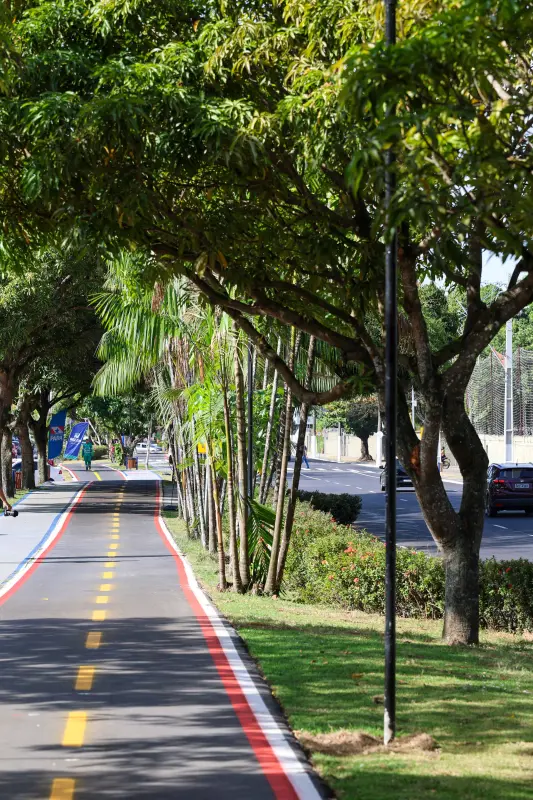  <div class='credito_fotos'>Foto: Marco Santos / Ag. Pará &nbsp;&nbsp;|&nbsp;&nbsp; <a href='/midias/2025/originais/20251104104910-GF00025377-F00462861.jpg' download><i class='fa-solid fa-download'></i> Download</a></div>