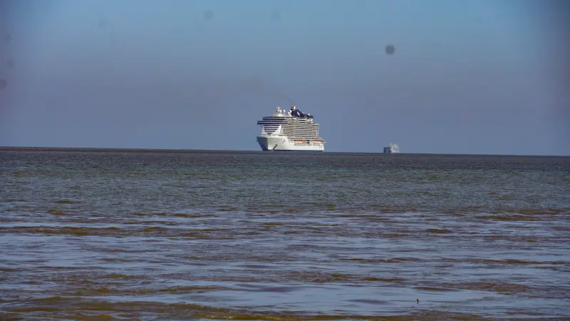  <div class='credito_fotos'>Foto: Edivaldo Sodré / Ag. Pará &nbsp;&nbsp;|&nbsp;&nbsp; <a href='/midias/2025/originais/20251104122402-GF00025379-F00462932.jpg' download><i class='fa-solid fa-download'></i> Download</a></div>