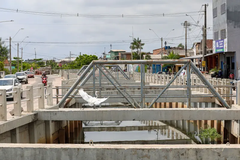  <div class='credito_fotos'>Foto: Bruno Cruz / Ag. Pará &nbsp;&nbsp;|&nbsp;&nbsp; <a href='/midias/2025/originais/20251105114604-GF00025384-F00463176.jpg' download><i class='fa-solid fa-download'></i> Download</a></div>