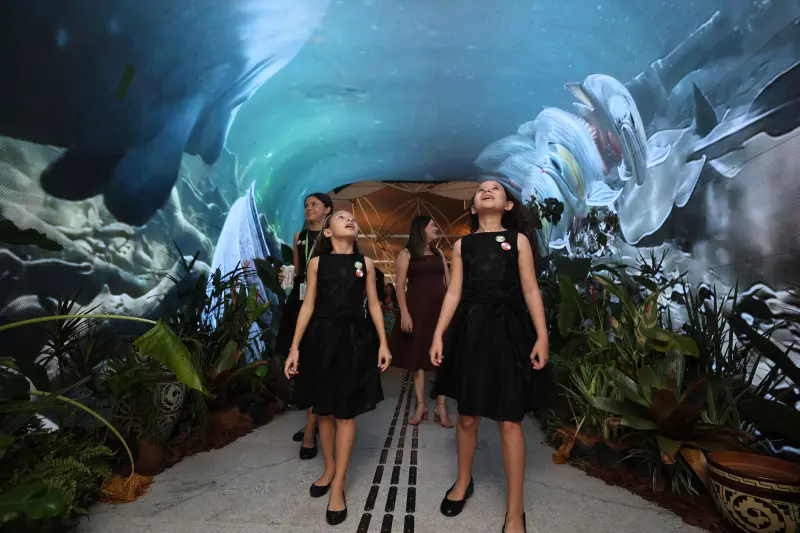  <div class='credito_fotos'>Foto: Bruno Cruz / Ag. Pará &nbsp;&nbsp;|&nbsp;&nbsp; <a href='/midias/2025/originais/20251117123139-GF00025559-F00468850.jpg' download><i class='fa-solid fa-download'></i> Download</a></div>