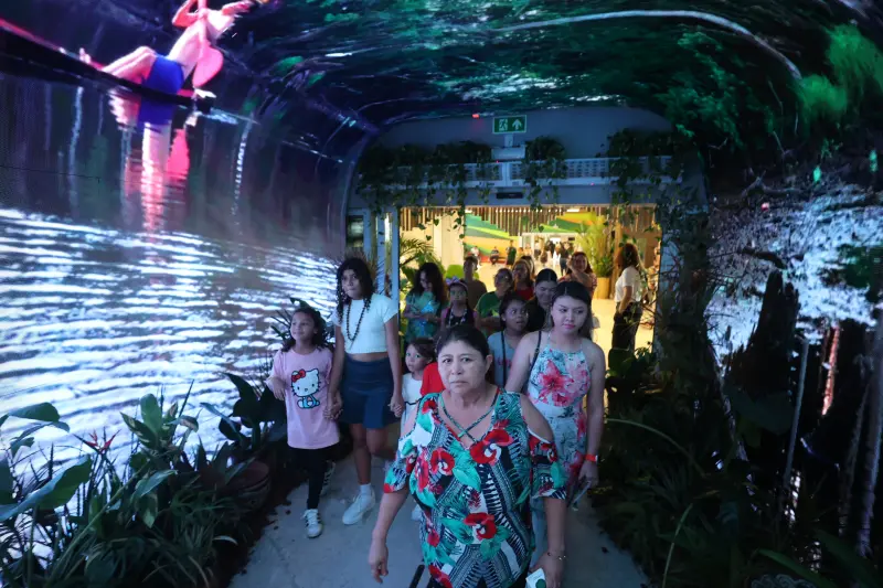  <div class='credito_fotos'>Foto: Bruno Cecim / Ag.Pará &nbsp;&nbsp;|&nbsp;&nbsp; <a href='/midias/2025/originais/20251117183409-GF00025573-F00469054.jpg' download><i class='fa-solid fa-download'></i> Download</a></div>