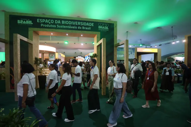  <div class='credito_fotos'>Foto: Bruno Cecim / Ag.Pará &nbsp;&nbsp;|&nbsp;&nbsp; <a href='/midias/2025/originais/20251118172253-GF00025601-F00469777.jpg' download><i class='fa-solid fa-download'></i> Download</a></div>