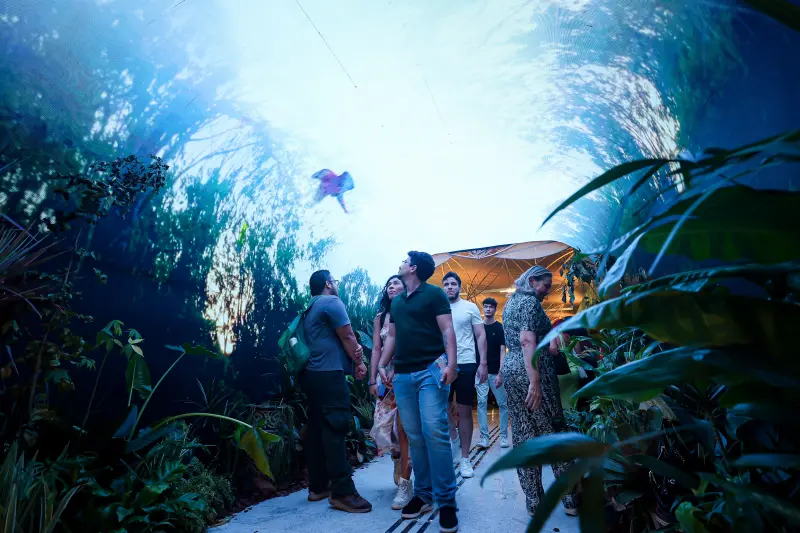  <div class='credito_fotos'>Foto: Bruno Cecim / Ag.Pará &nbsp;&nbsp;|&nbsp;&nbsp; <a href='/midias/2025/originais/20251118201906-GF00025613-F00470185.jpg' download><i class='fa-solid fa-download'></i> Download</a></div>