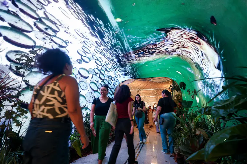  <div class='credito_fotos'>Foto: Bruno Cecim / Ag.Pará &nbsp;&nbsp;|&nbsp;&nbsp; <a href='/midias/2025/originais/20251118201915-GF00025613-F00470188.jpg' download><i class='fa-solid fa-download'></i> Download</a></div>