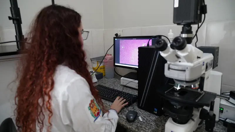 notícia: Mestrado Profissional em Cirurgia e Pesquisa Experimental, da Uepa, inscreve para seleção