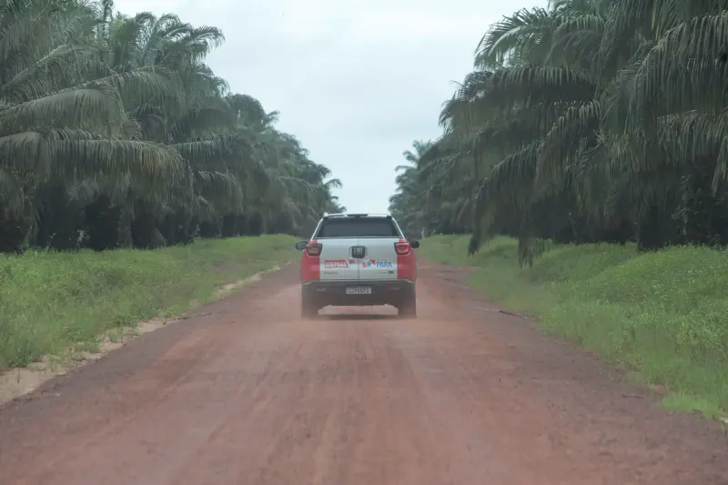 notícia: Adepará alerta sobre o prazo final para o recadastramento de produtores de dendê