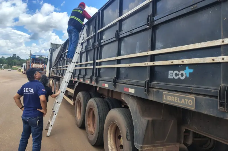 notícia: Secretaria da Fazenda (Sefa) apreende 20 toneladas de soja em Dom Eliseu