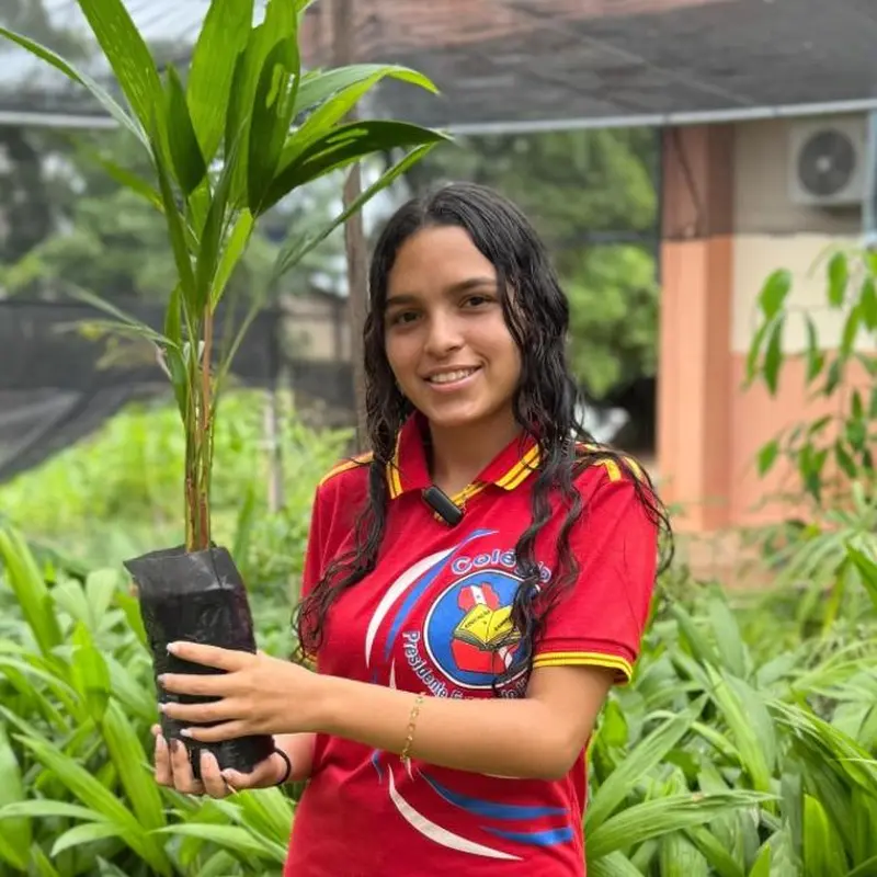 notícia: Projetos de alunos da rede estadual são selecionados para Parlamento Juvenil do Mercosul 2025