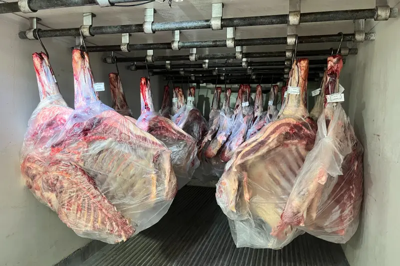 notícia: Adepará  doa 1 tonelada e meia de carne para fazenda esperança na Ilha de Mosqueiro