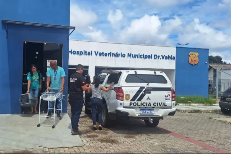 notícia: Policiais civis prendem homem em flagrante por maus-tratos a um cão