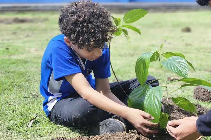 notícia: Ideflor-Bio promove plantio de 20 mudas de espécies frutíferas e florestais em escola estadual