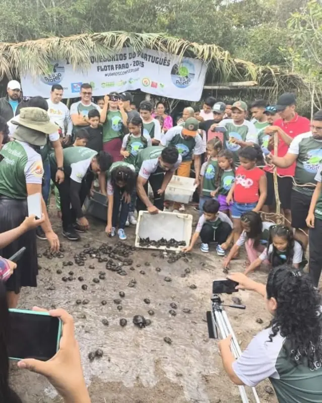 notícia: Mais 500 quelônios são devolvidos à natureza na Floresta Estadual de Faro no oeste paraense 