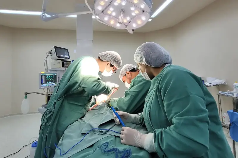 notícia: Governo do Pará amplia acesso a cirurgias no Pronto-Socorro Dr. Roberto Macedo