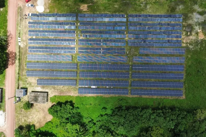 notícia: Pará investe em infraestrutura e tecnologia para fortalecer defesa agropecuária