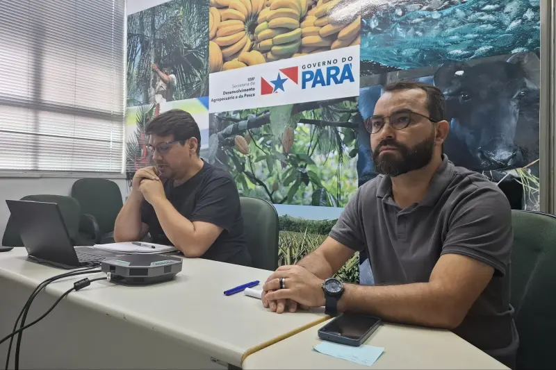 notícia: Plano ABC+ Pará vai capacitar servidores das Câmaras Técnicas que irão atuar junto aos produtores rurais paraenses