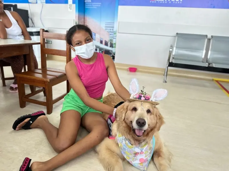 notícia: Terapia assistida por cães diverte crianças no Hospital de Clínicas Gaspar Vianna