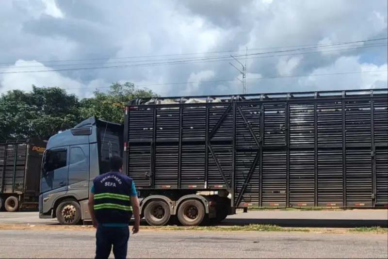 notícia: Sefa apreende 240 cabeças de gado, pneus e revestimento para piso