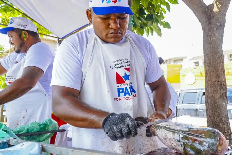 notícia: Feira do Pescado 2025 oferece 25 toneladas de peixe a preços acessíveis em Santarém
