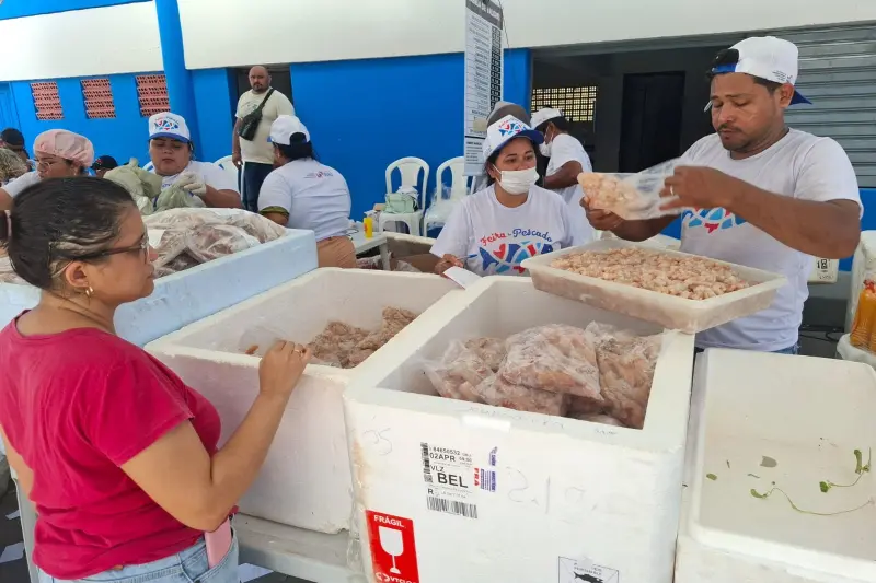 notícia: Feira do Pescado encerra em Belém e mais 60 municípios com mais de 250 toneladas de peixes vendidos