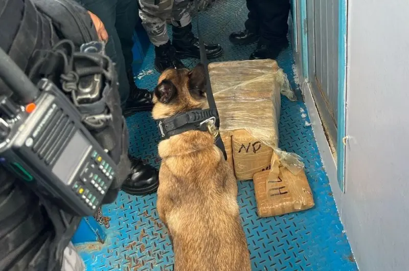 notícia: Ação da Base Candiru em Óbidos apreende 57kg de entorpecentes