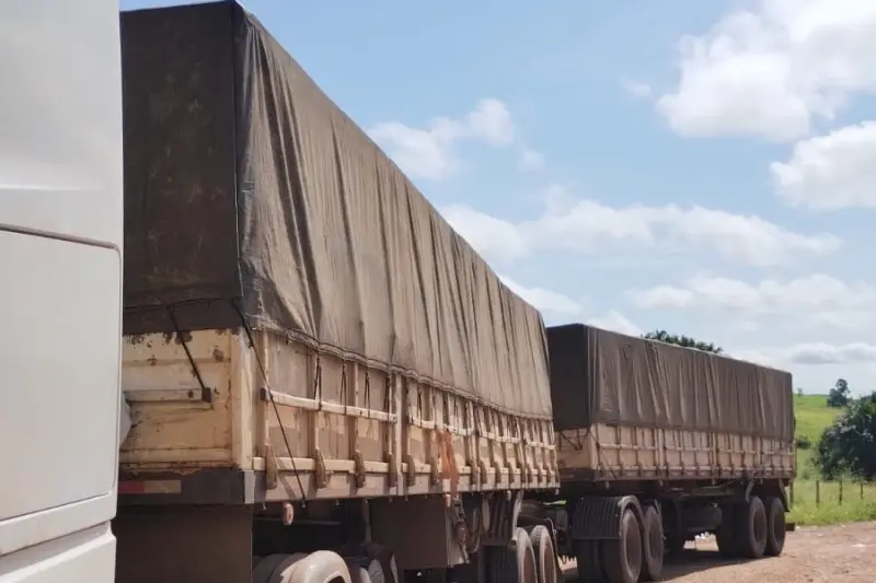 notícia: Sefa apreende 60 toneladas de madeira em Abel Figueiredo