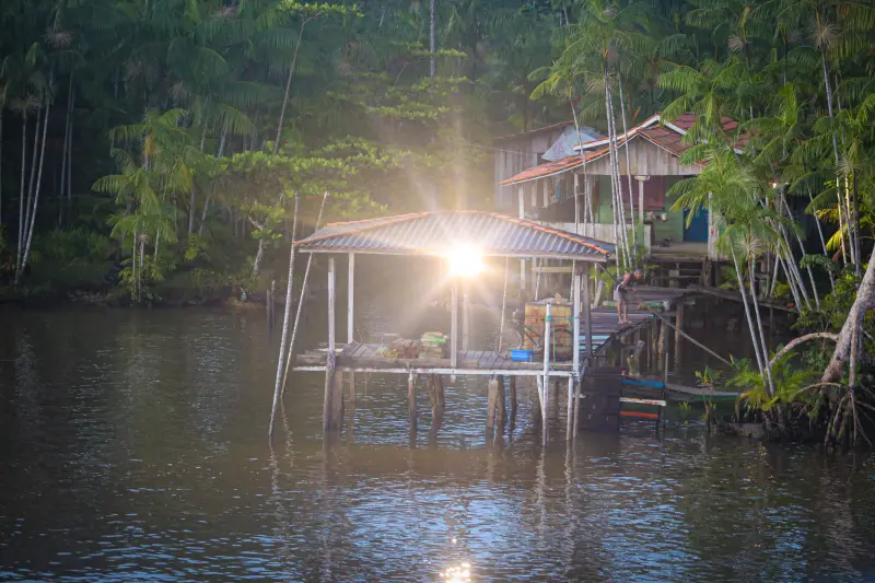 Galeria: Marajó - Portel