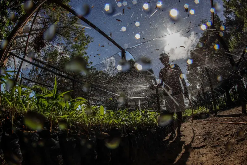 notícia: Estado incentiva parcerias para conservação ambiental com nova Instrução Normativa