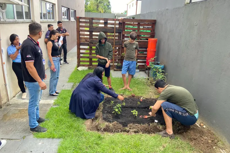 notícia: Em Capanema, Núcleo de Atendimento (Natea Caetés) retoma horta colaborativa 