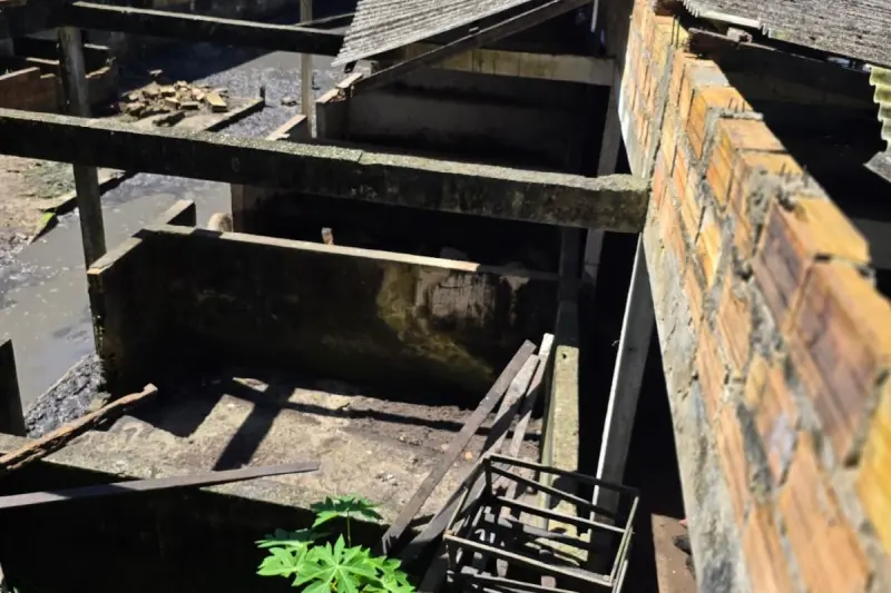 notícia: Polícia Civil do Pará fecha matadouro clandestino e autua duas pessoas