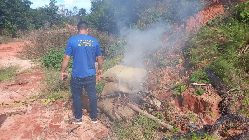 notícia: Amêndoas de cacau sem documentação de trânsito são incineradas em Juruti