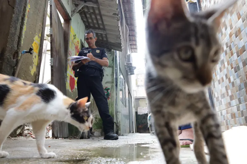 notícia: Polícia Civil e PCEPA combatem maus-tratos a animais na Região Metropolitana de Belém 