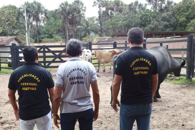 notícia: Adepará inicia campanha de atualização de cadastro de animais no Estado
