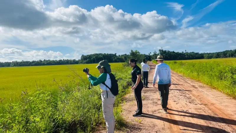 notícia: Ideflor-Bio faz estudos para criar Unidades de Conservação em São João de Pirabas