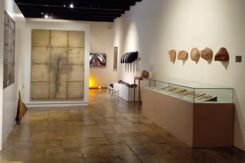 notícia: Casa das Onze Janelas inaugura exposição que une arte e ciências naturais