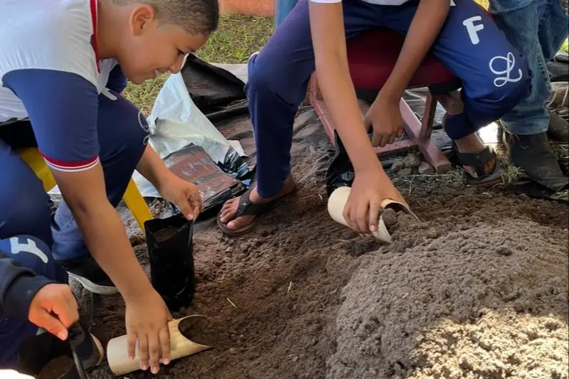 notícia: Educação ambiental e plantio de mudas mobilizam estudantes em São Geraldo do Araguaia