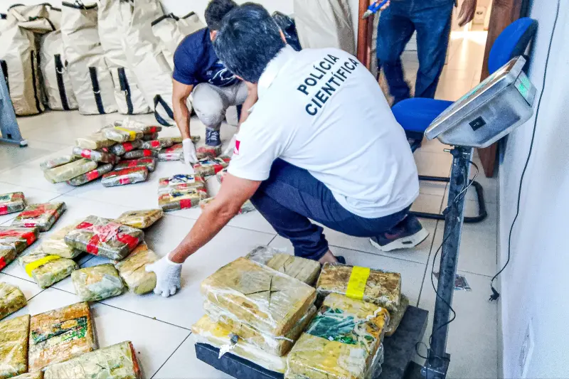 notícia: Polícia Científica pericia cerca de 500 quilos de entorpecentes apreendidos em Breves