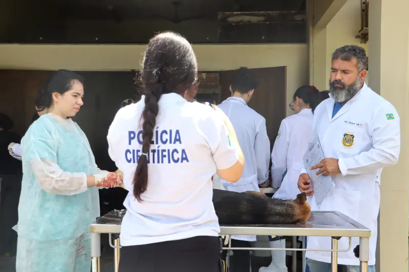 notícia: Polícia Científica realiza perícia em animais supostamente envenenados em Igarapé-Miri