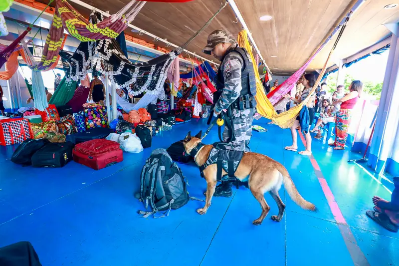 notícia: Em quatro meses, Pará apreende mais de 6 toneladas de drogas