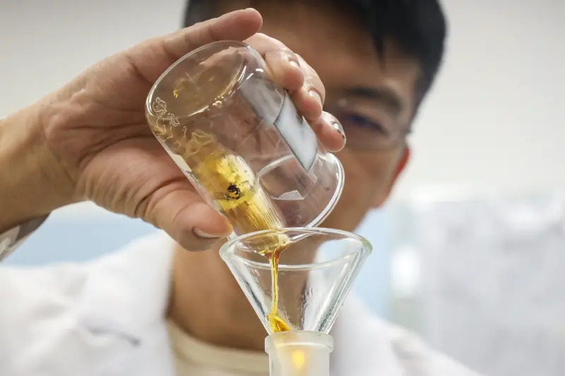 notícia: Parceria entre Fapespa e Universidade de Birmingham incentiva internacionalização da pesquisa no Pará